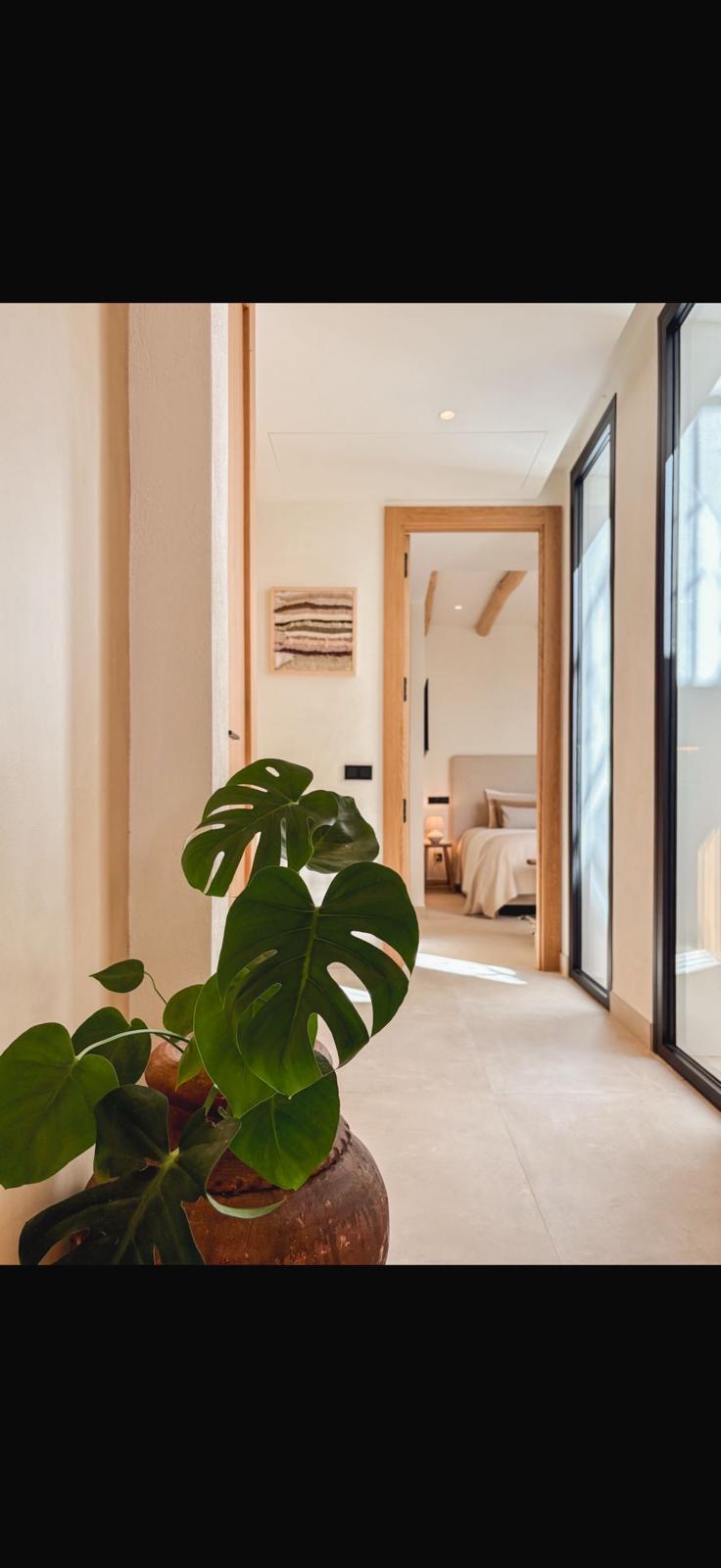 Casa Luna de Miel — fotografía 2